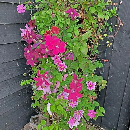 Christinahoeve Oude Deel #4 Boskoop