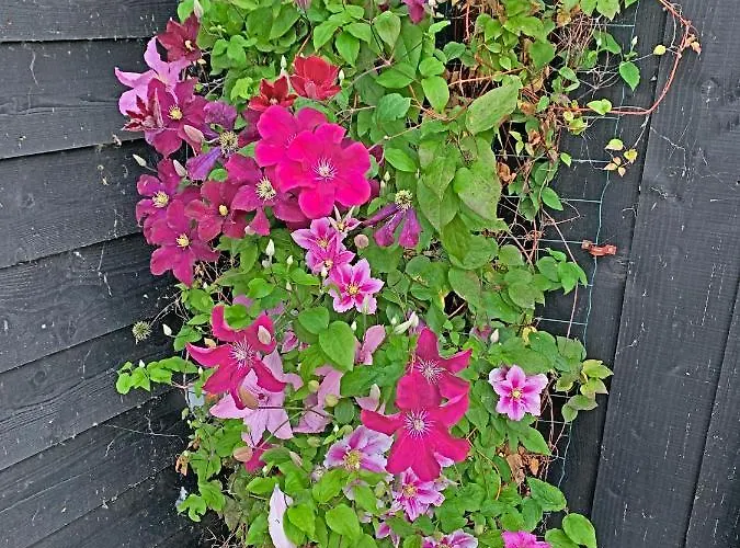 Christinahoeve Oude Deel #4 Boskoop