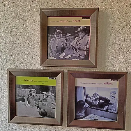 Christinahoeve Oude Deel #4 Boskoop